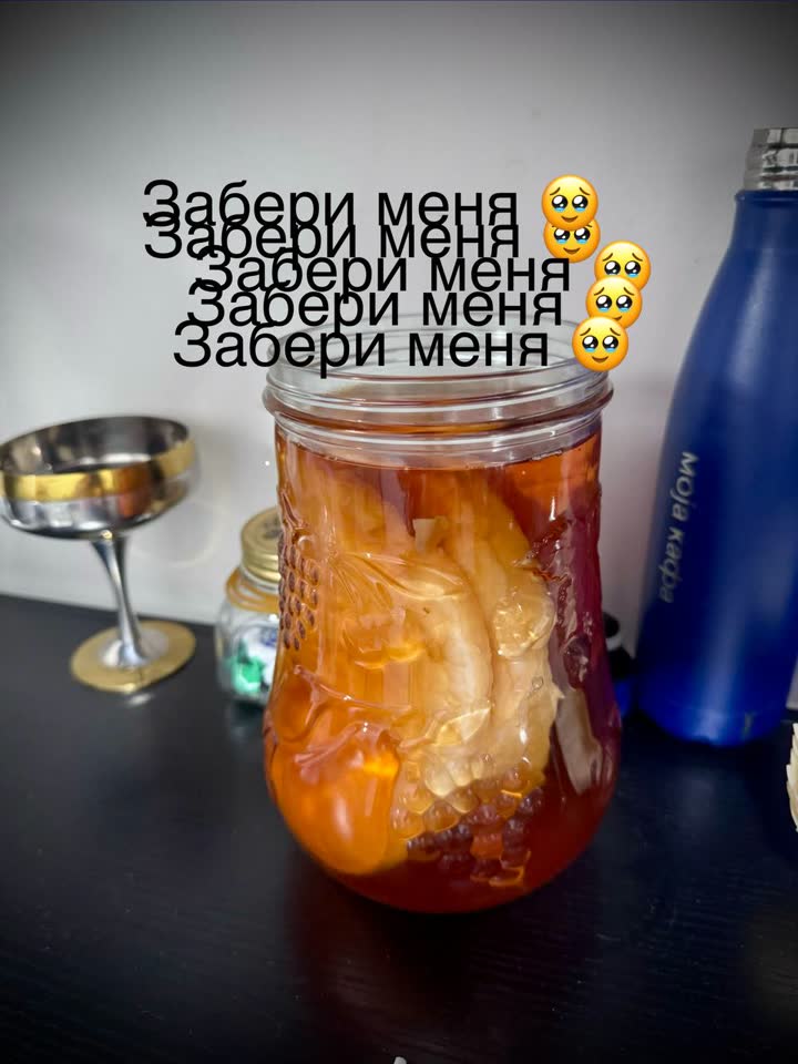 Два чайных грибёнка ищут заботливую семью
