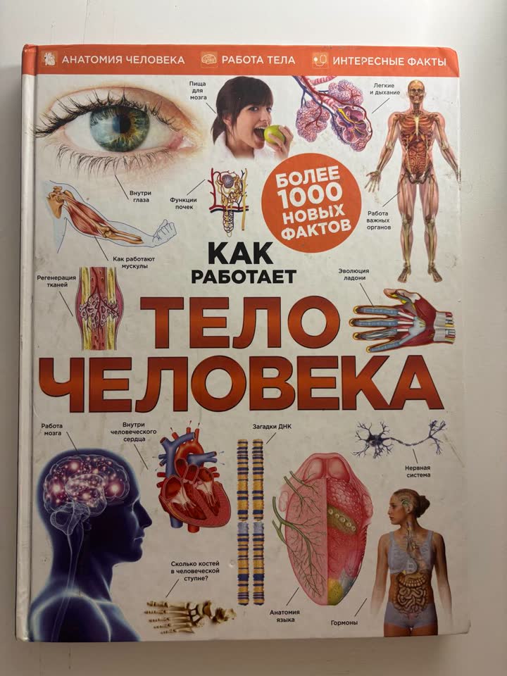 «Как работает тело человека» — большая иллюстрированная книга про анатомию и организм человека