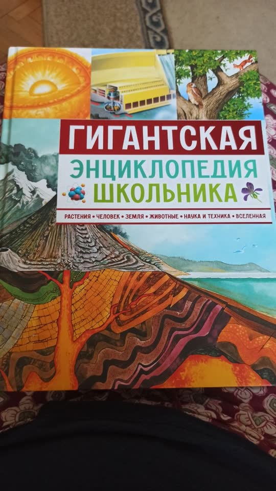 Гигантская энциклопедия школьника