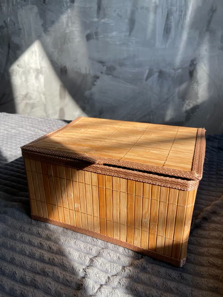 Organajzer