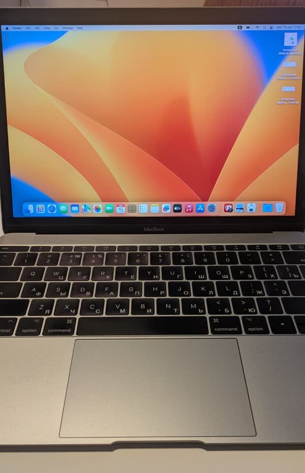 MacBook 12 retina 2017 (A1534 EMC 3099)