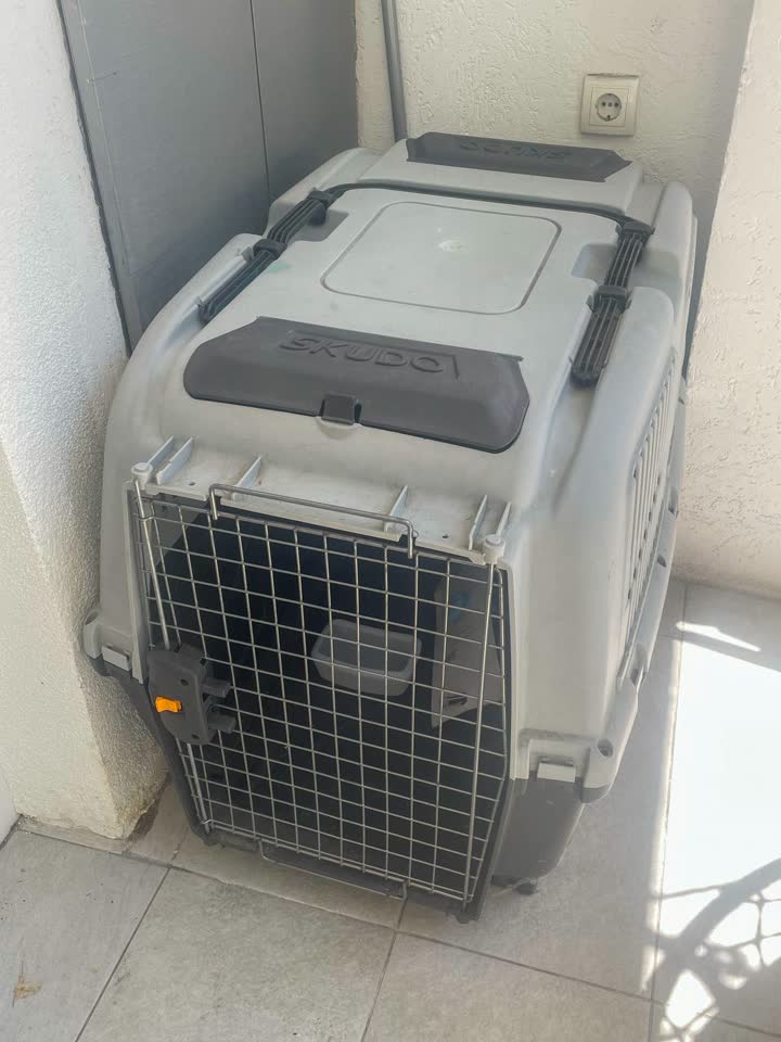 Prodajem transporter Skudo 6