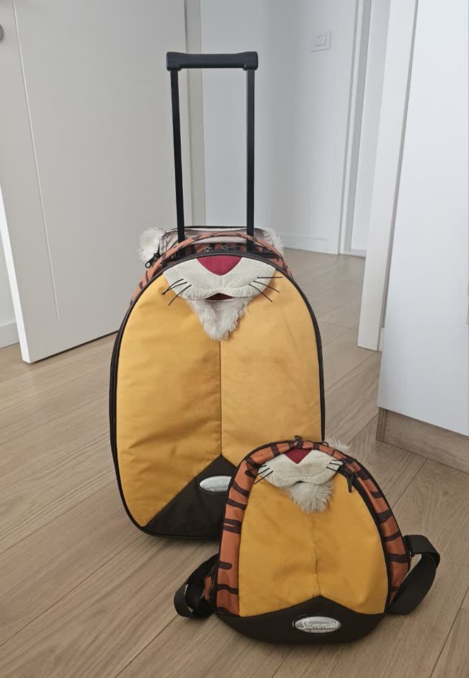 Samsonite set