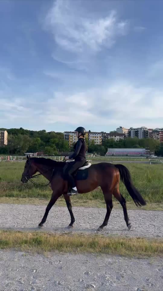 Jahanje za odrasle u Beogradu
