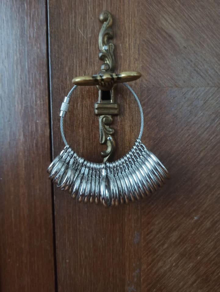 Metalni merni prstenovi