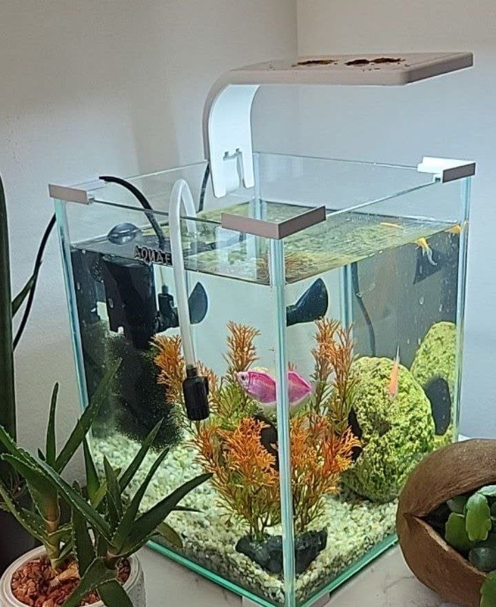 Akvarijum sa svom opremom i 3 ribice