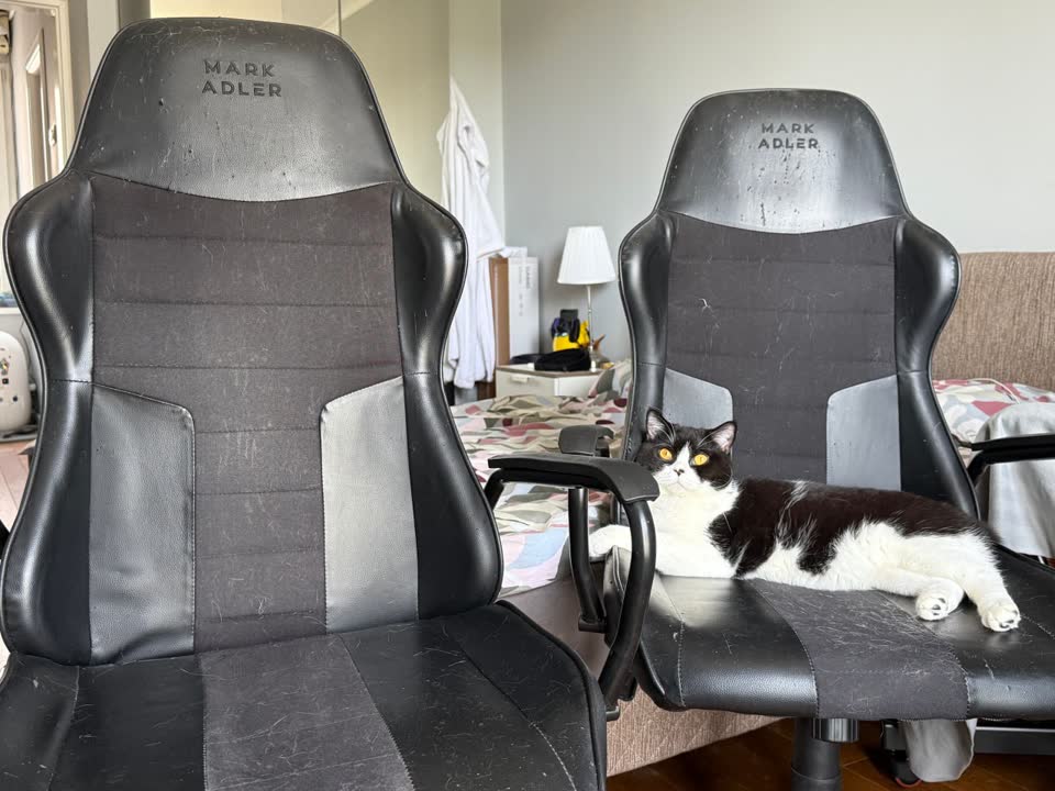 Отдам два офисных стула Mark Adler Boss 4.2