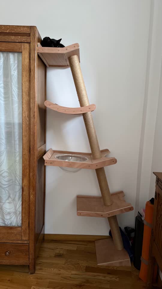 Кошачья лазалка