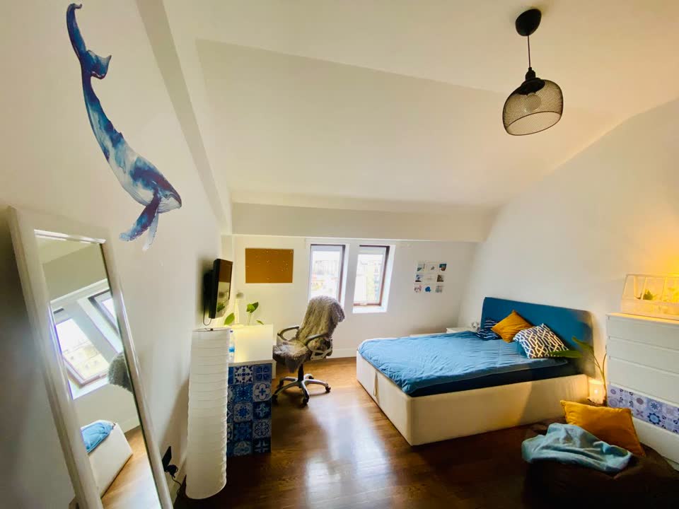 Сдаю комнату в коливинге, Белград, центр, от 600 EUR