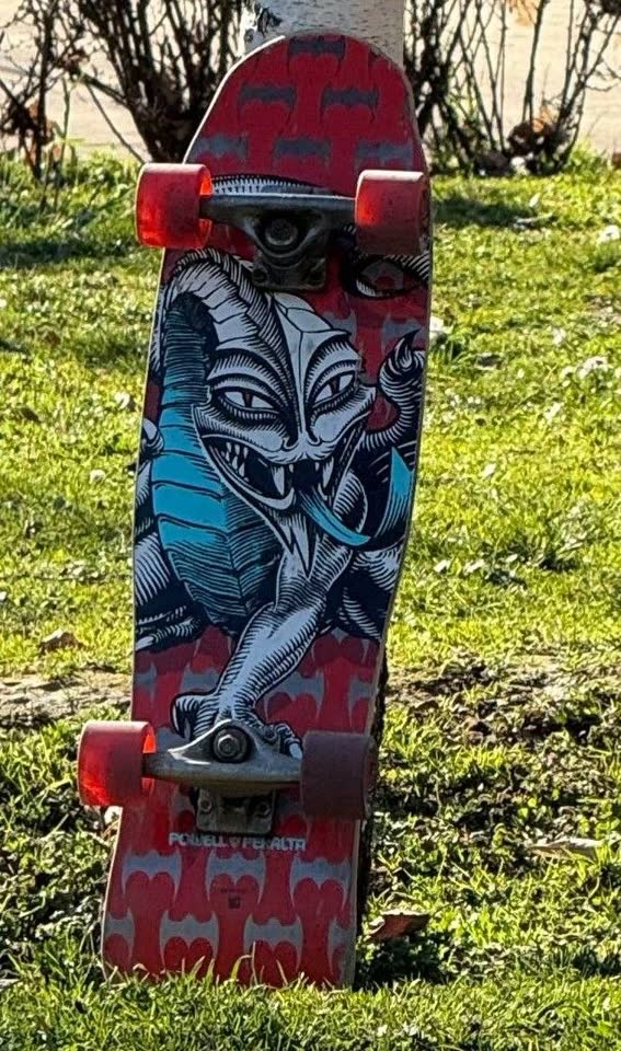 Prodajem skejt kruzer