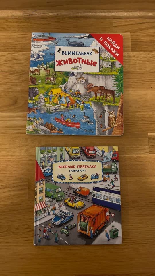 Две книги-виммельбуха