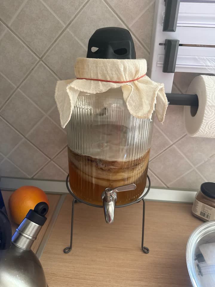 Poklanjam kombuhu sa teglom
