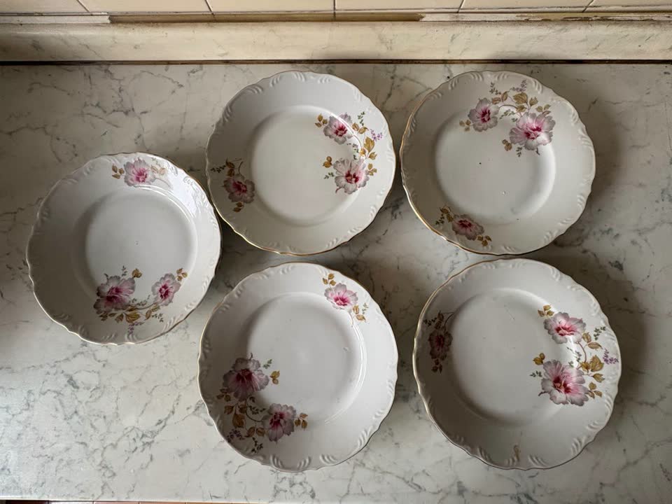 Set od pet tanjira Jugoporcelan Titov Veles