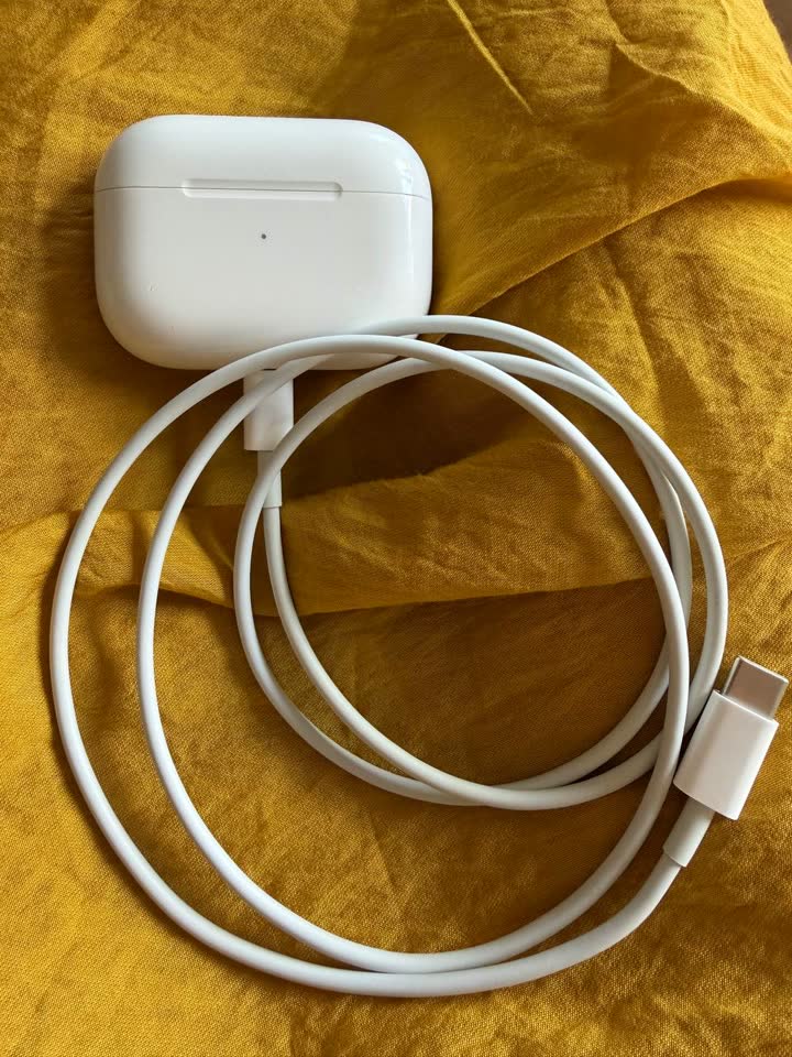 Чехол и наушники AirPods Pro с зарядным кабелем