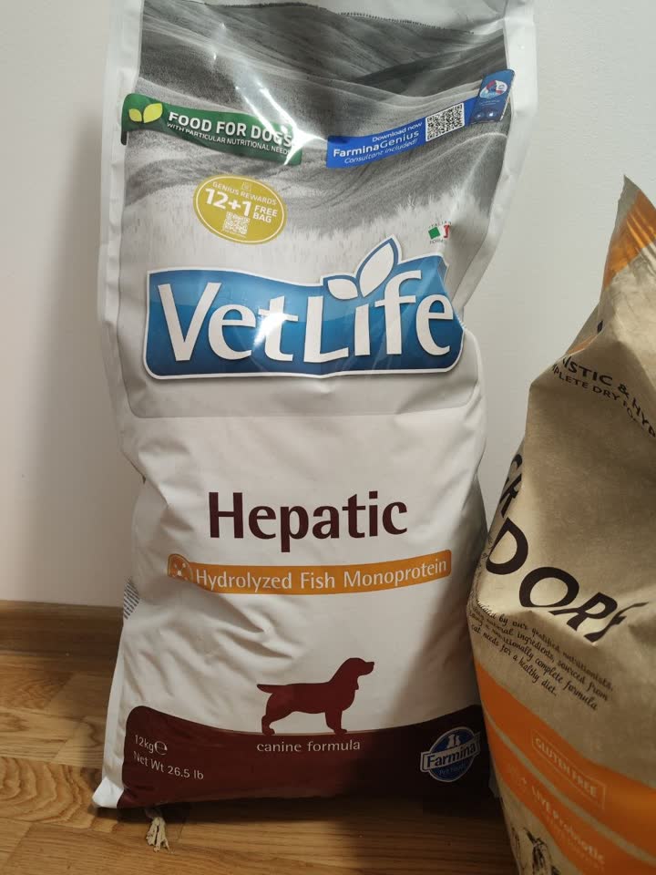 Prodajem hranu VetLife Hepatic za pse, 12 kg