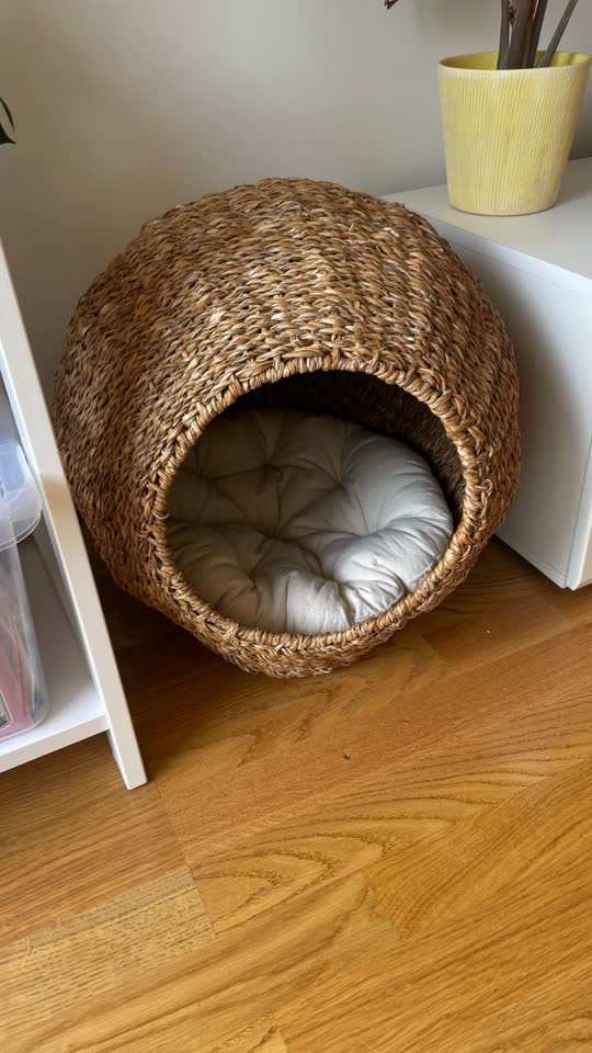 Kućica za mačku ili malog psa Zara Home