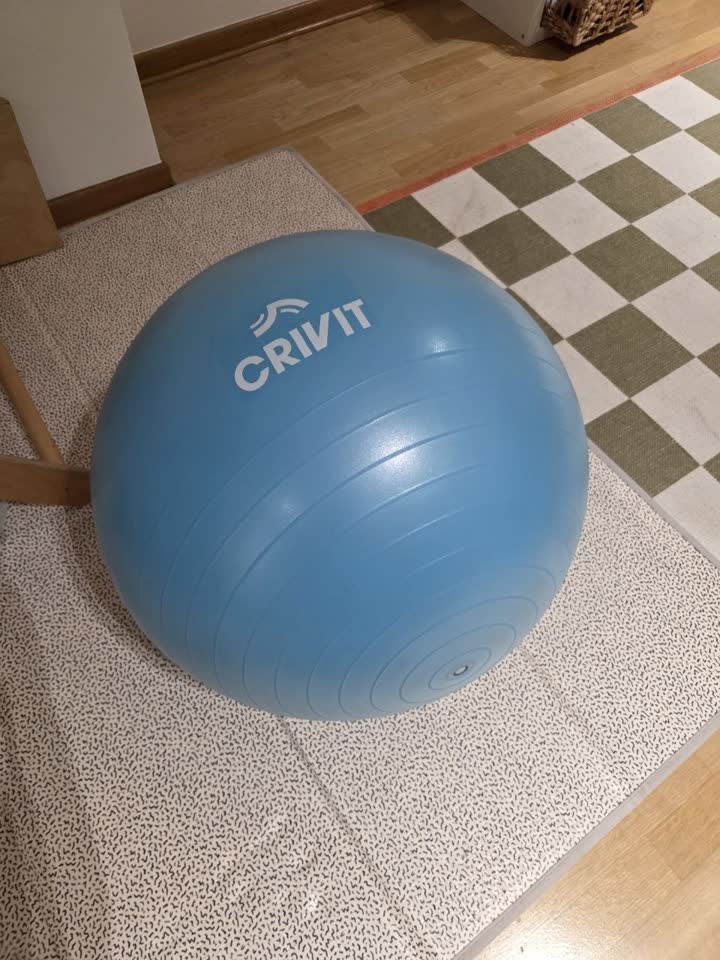 Fitbol iz Lidla 65 cm