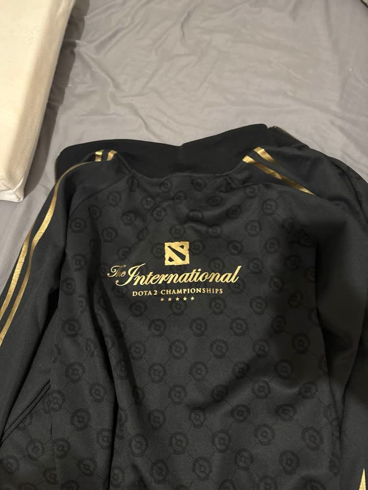 Кофта с лампасами The International 2021 Dota2