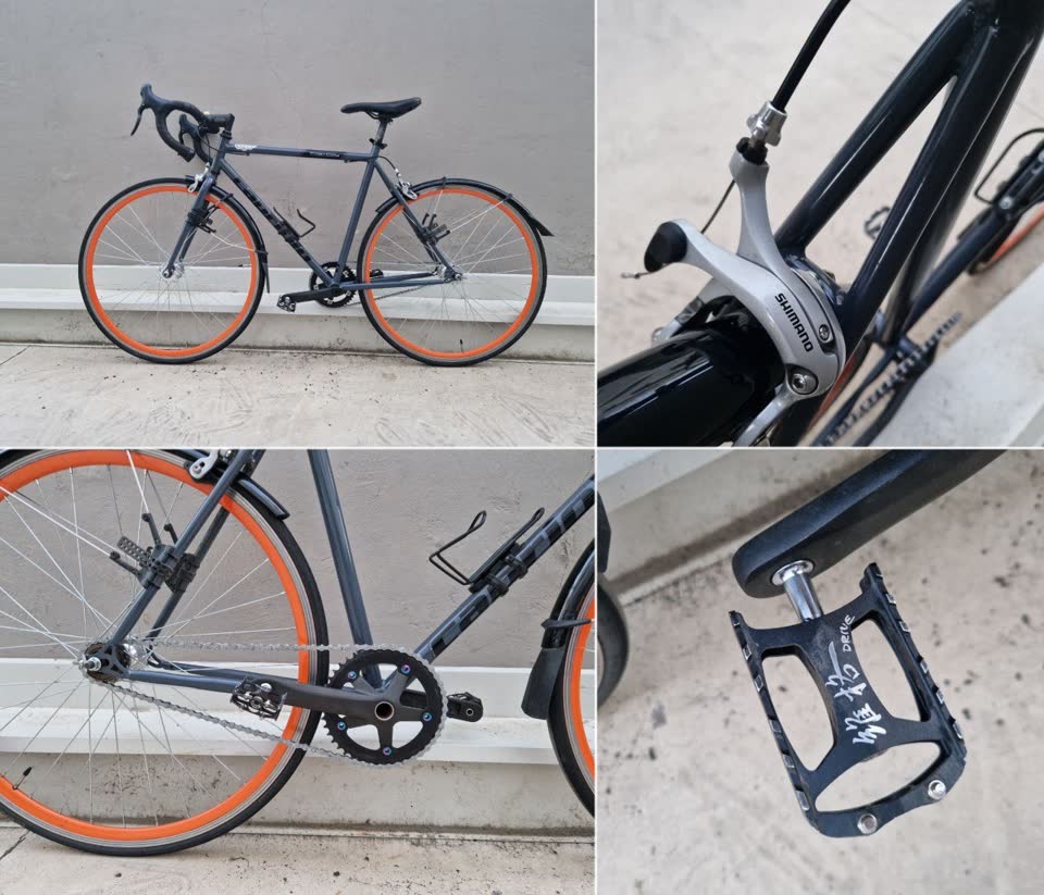Capriolo Fastboy 28” — кастом