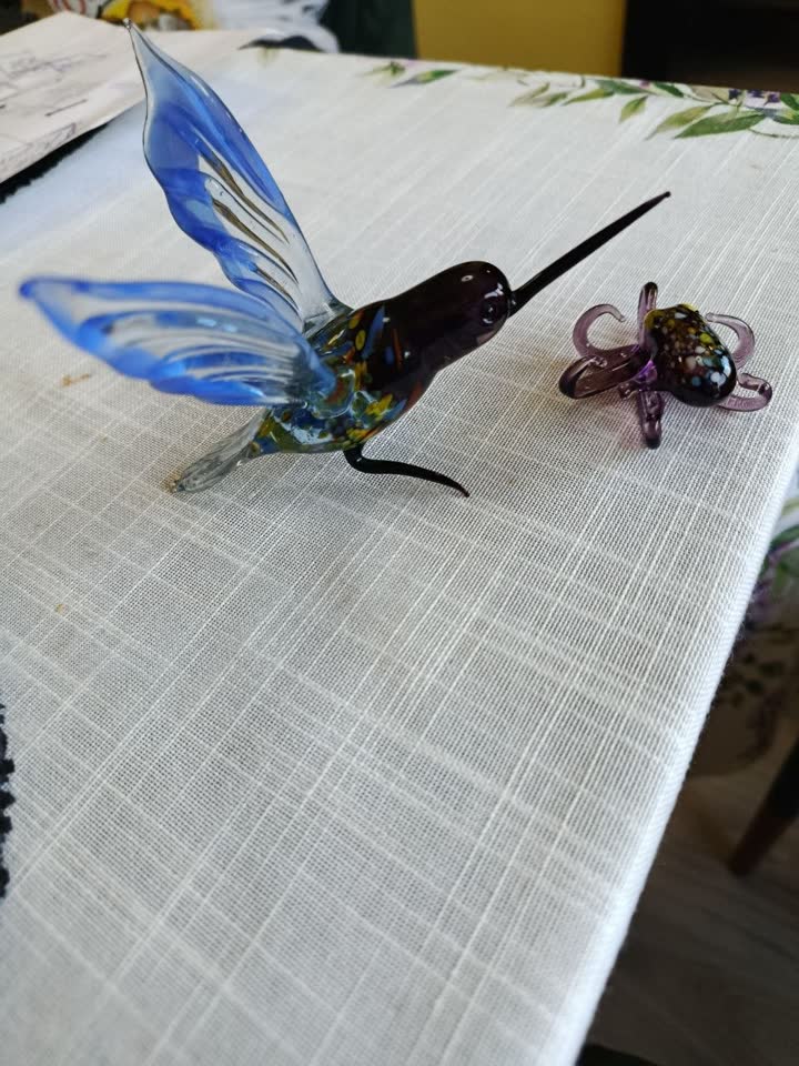 Kolibri i osminoga od stakla