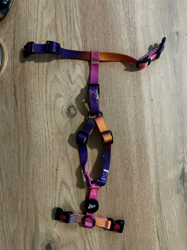 Prodajem opremu za psa