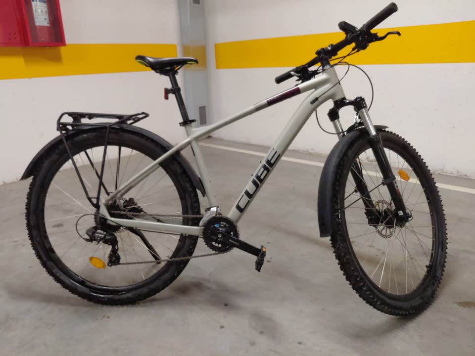 Cube Access WS 29" - 350eur