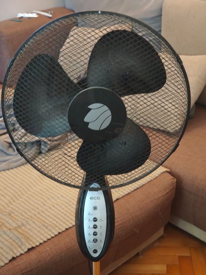 Podni ventilator Ecg FS 40 R