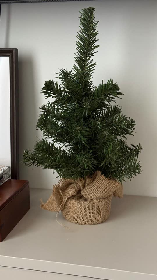 Mala jelka na teškom postolju