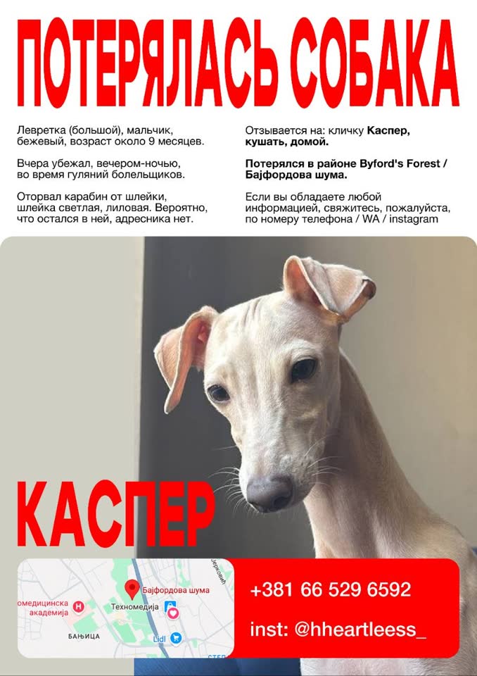 Потеряли малыша