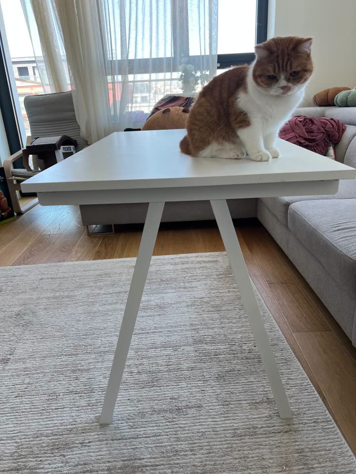 Pisaći sto Ikea