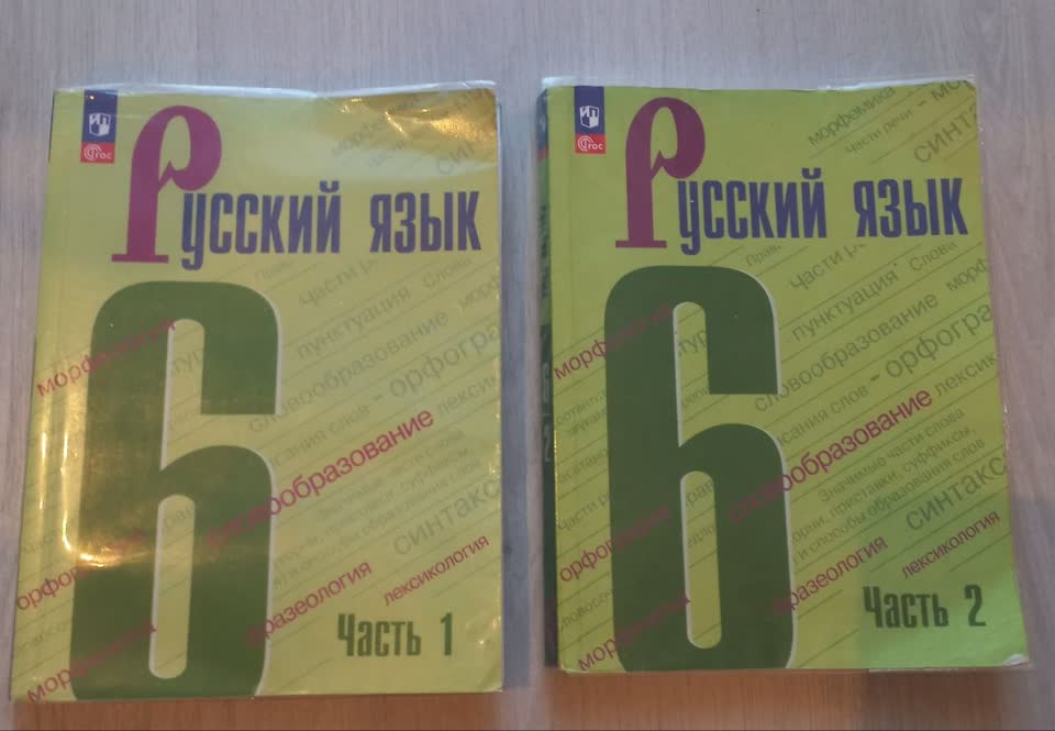 Учебники по русскому языку за 6 класс
