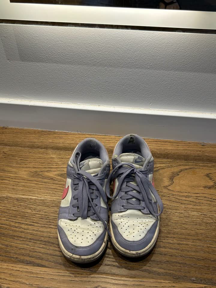 Nike данки