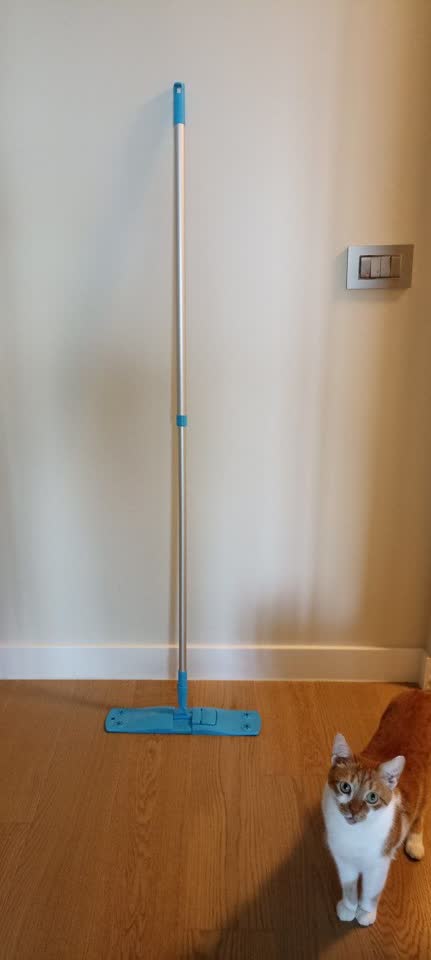 Mop