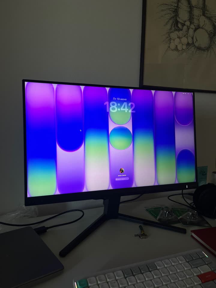 PHILIPS 23,8 дюйма Evnia Full HD