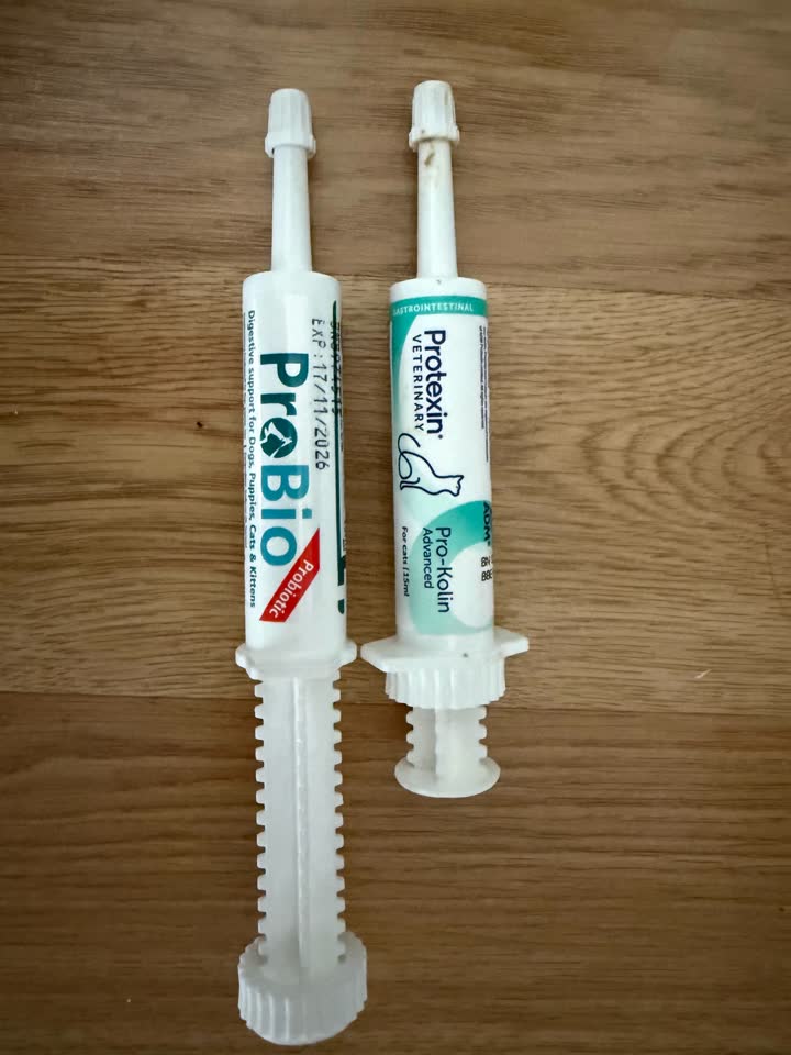 Poklanjam besplatno