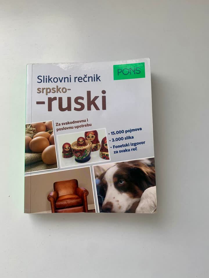 Ilustrovani srpsko-ruski rečnik