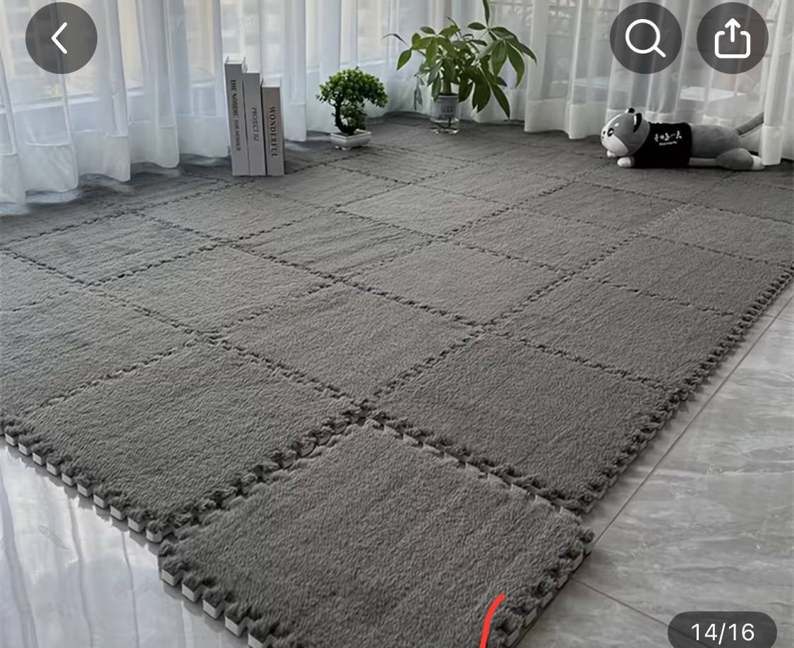 EVO podne puzzle