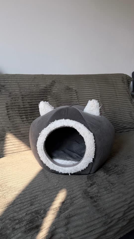Кошачий домик