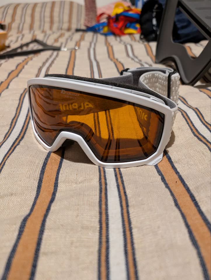 Маска горнолыжная детская ALPINA Scarabeo Jr. Dh Unisex с чехлом