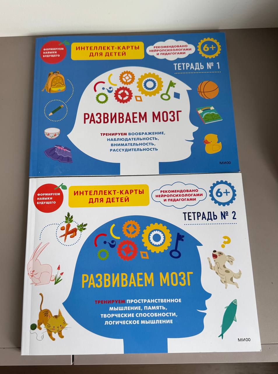 Edukativne sveske za decu 6+