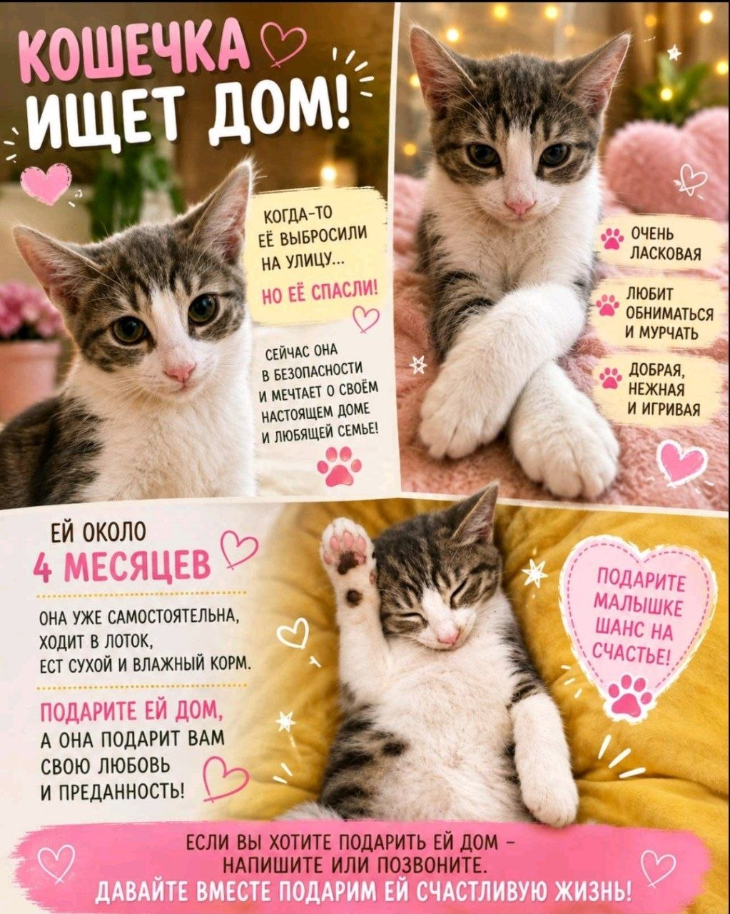 Tražimo najljubazniji dom za ovu divnu devojčicu