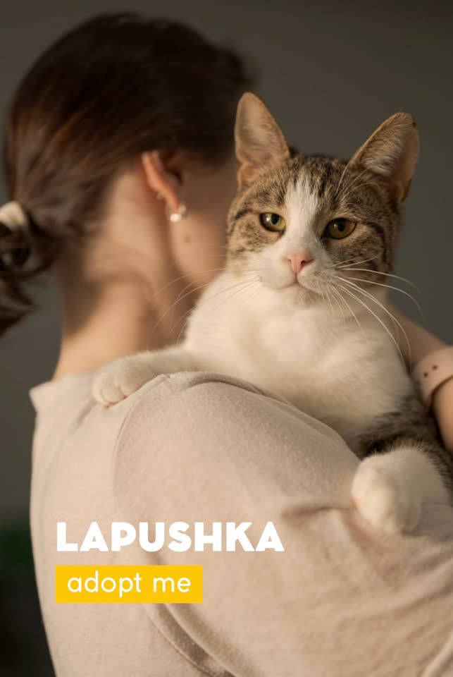 Лапушка ищет дом