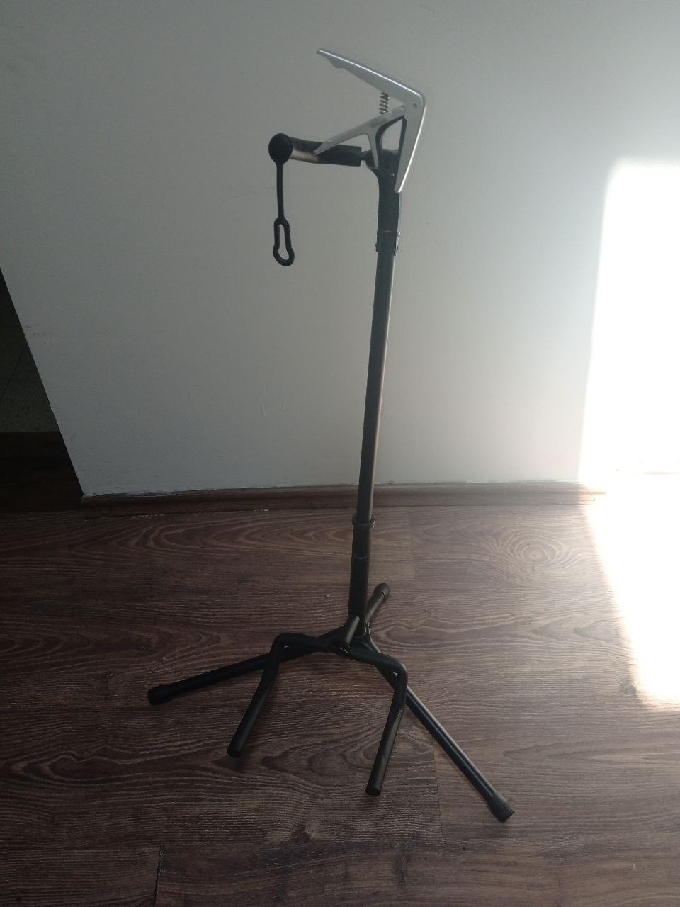 Gitara Strauss Rottman sa stalkom i priborom