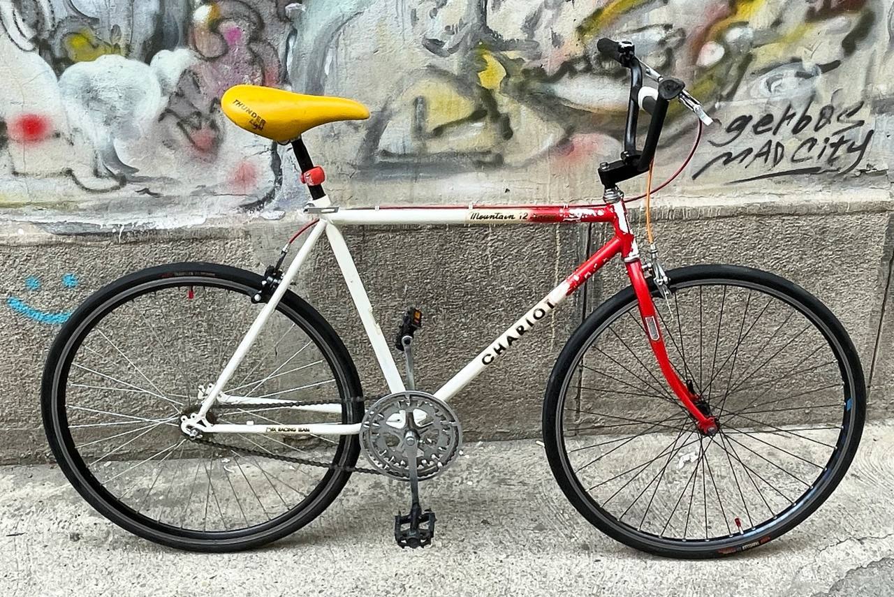 Single Speed Cariol Mountain 12