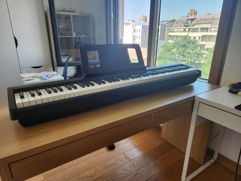 Электронное пианино Roland FP-10