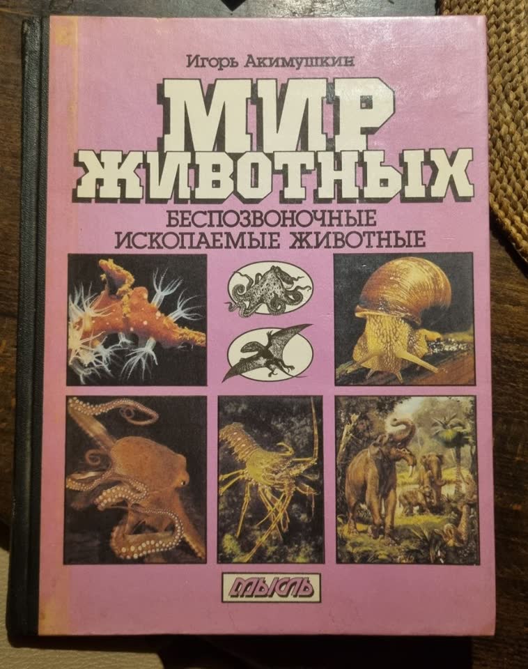 Книга о подводном мире, колонка и игра
