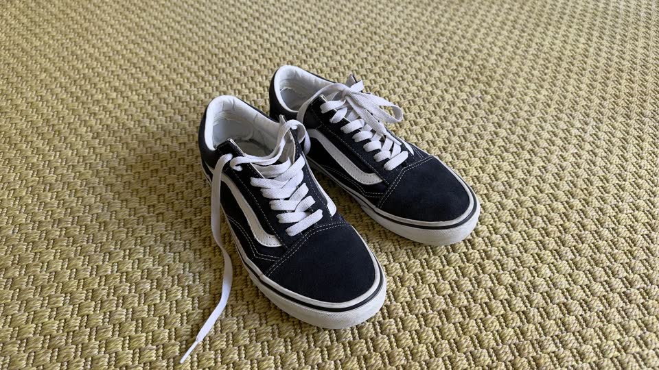 Vans old skool