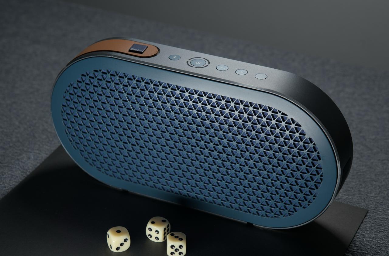 Dali Katch Bluetooth портативный спикер