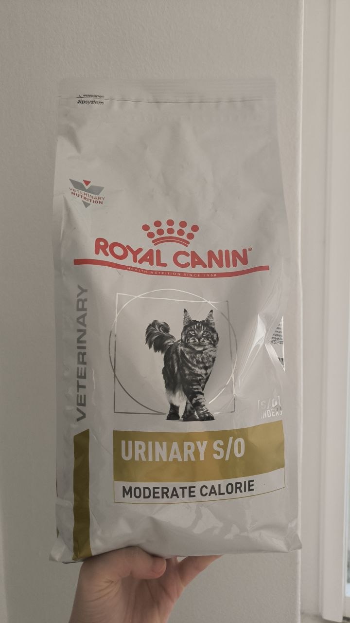 Hrana za mačke Royal Canin Urinary S/O sa kontrolom kalorija