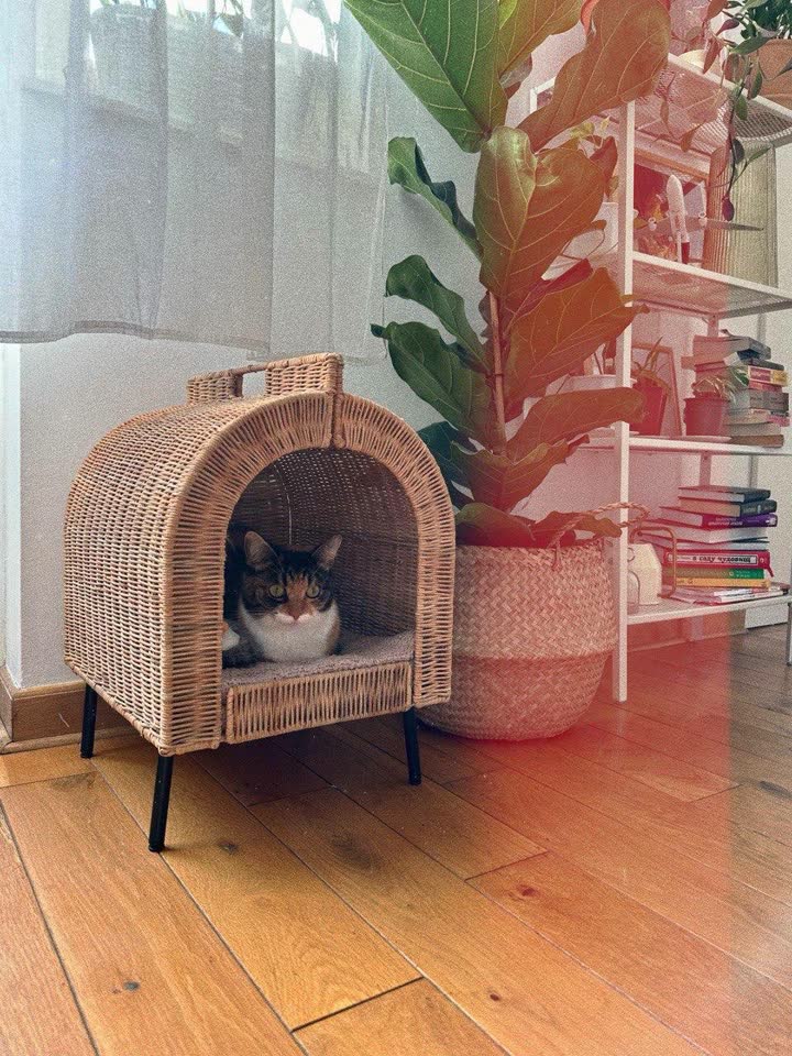 Домик для кошки / собаки IKEA